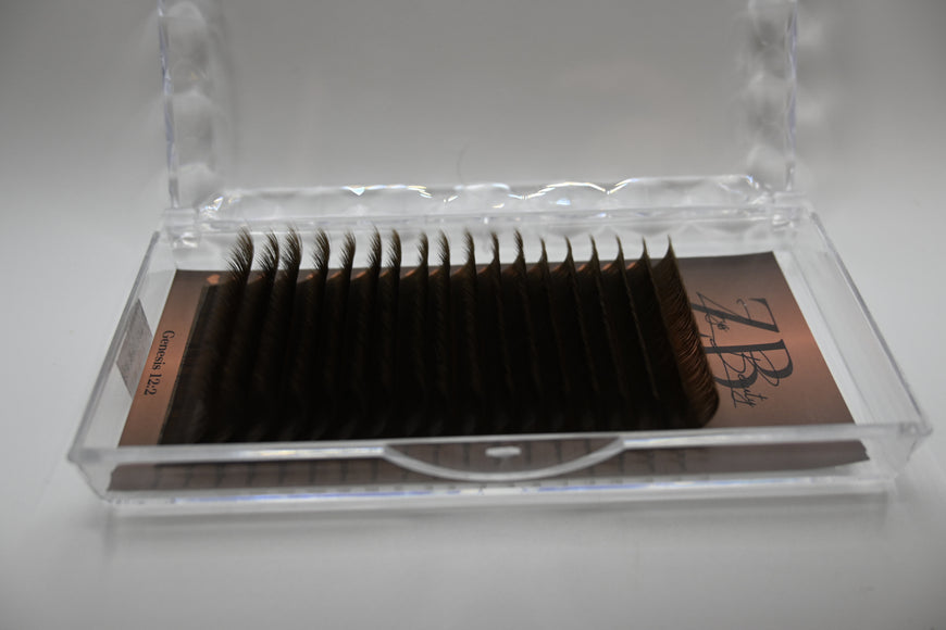 D & CC Trays